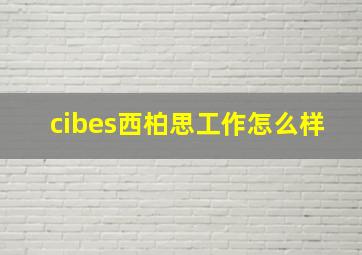 cibes西柏思工作怎么样