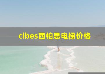 cibes西柏思电梯价格