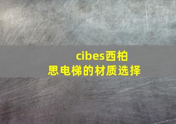 cibes西柏思电梯的材质选择