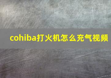 cohiba打火机怎么充气视频