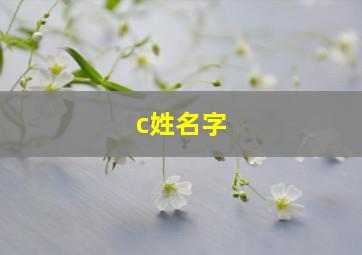 c姓名字