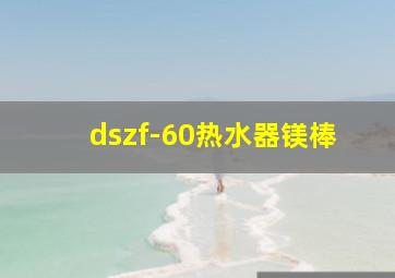 dszf-60热水器镁棒