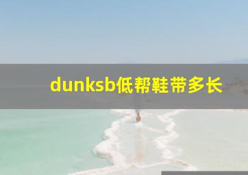 dunksb低帮鞋带多长