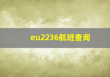 eu2236航班查询