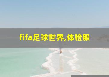 fifa足球世界,体验服