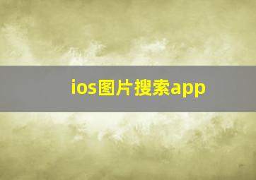 ios图片搜索app