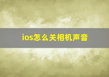 ios怎么关相机声音