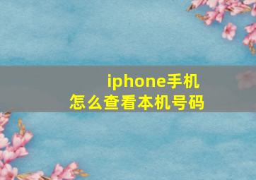 iphone手机怎么查看本机号码