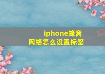 iphone蜂窝网络怎么设置标签