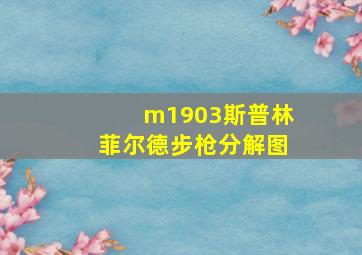 m1903斯普林菲尔德步枪分解图