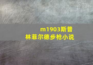 m1903斯普林菲尔德步枪小说