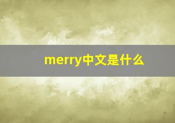 merry中文是什么