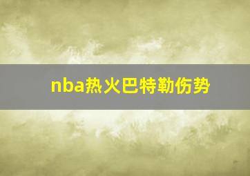 nba热火巴特勒伤势