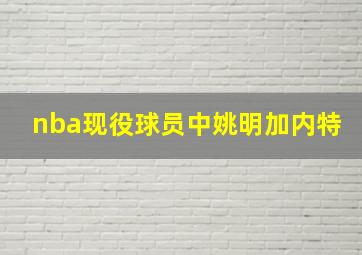 nba现役球员中姚明加内特