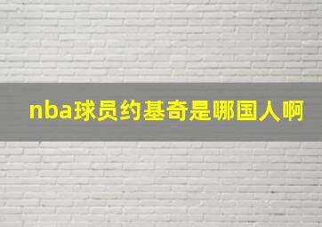 nba球员约基奇是哪国人啊