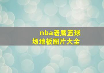 nba老鹰篮球场地板图片大全