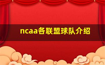 ncaa各联盟球队介绍