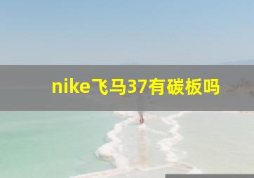 nike飞马37有碳板吗