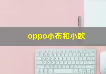 oppo小布和小欧