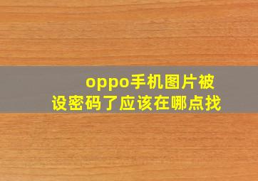 oppo手机图片被设密码了应该在哪点找