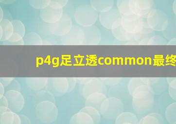 p4g足立透common最终