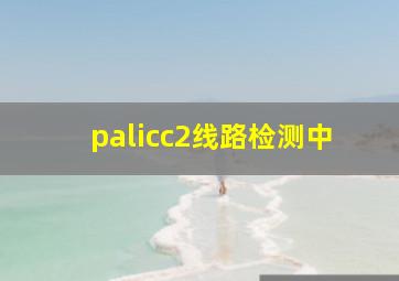 palicc2线路检测中