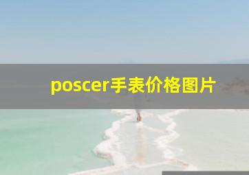 poscer手表价格图片