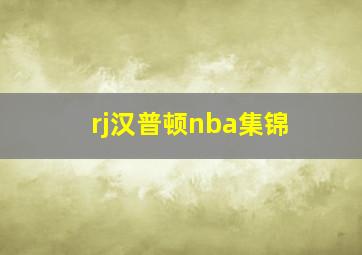 rj汉普顿nba集锦