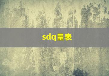 sdq量表