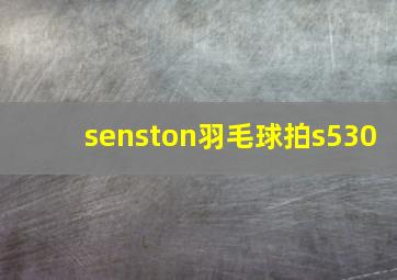 senston羽毛球拍s530