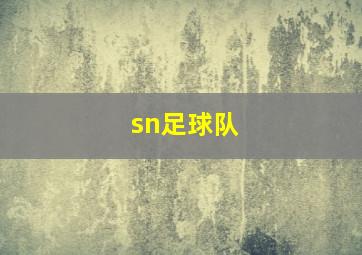 sn足球队