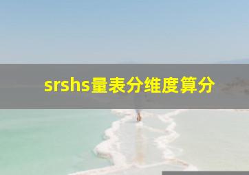 srshs量表分维度算分