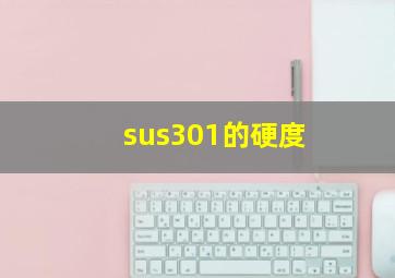 sus301的硬度