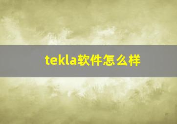 tekla软件怎么样