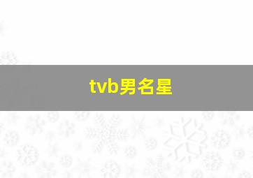 tvb男名星