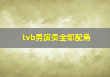 tvb男演员全部配角