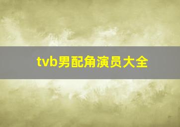 tvb男配角演员大全