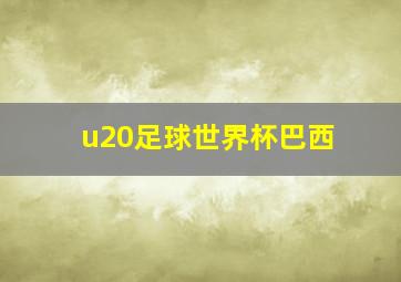 u20足球世界杯巴西