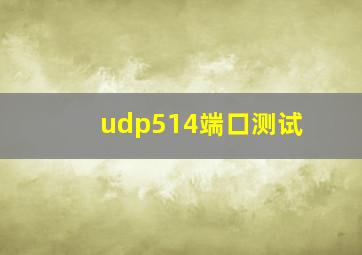 udp514端口测试