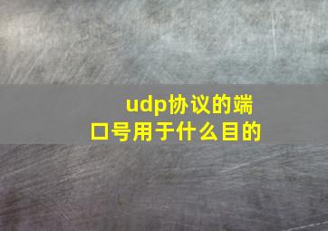 udp协议的端口号用于什么目的