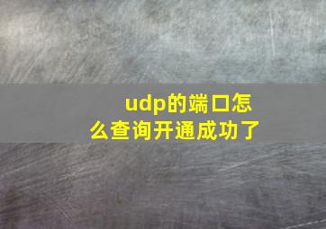 udp的端口怎么查询开通成功了