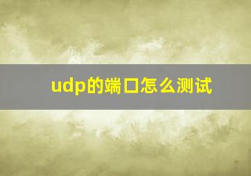 udp的端口怎么测试