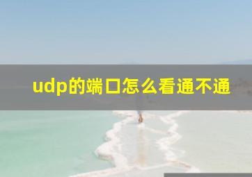 udp的端口怎么看通不通