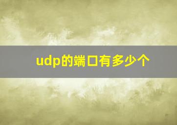 udp的端口有多少个