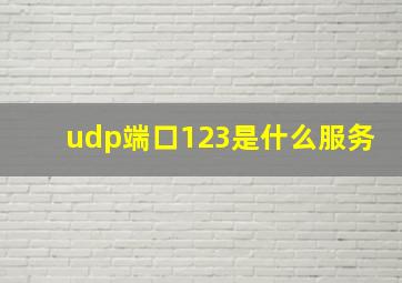 udp端口123是什么服务