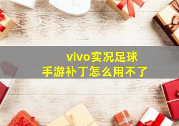 vivo实况足球手游补丁怎么用不了