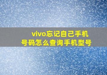 vivo忘记自己手机号码怎么查询手机型号