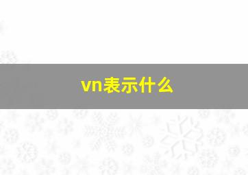 vn表示什么