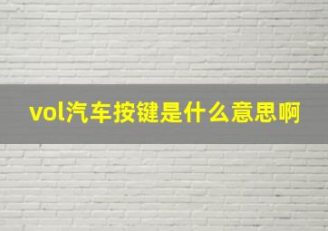 vol汽车按键是什么意思啊