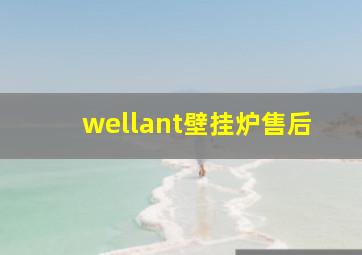 wellant壁挂炉售后